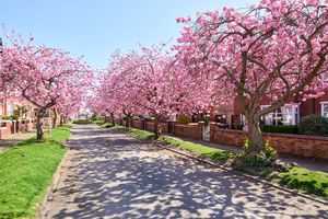 Photo 29- click for photo gallery